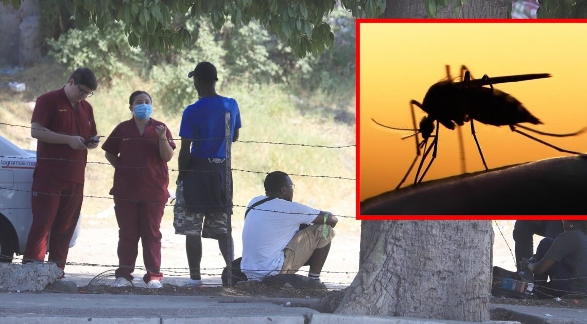 Van 5 casos de paludismo detectados en migrantes que han llegado a Sonora: SS Van 5 casos de paludismo detectados en migrantes que han llegado a Sonora: SS