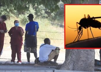Van 5 casos de paludismo detectados en migrantes que han llegado a Sonora: SS
