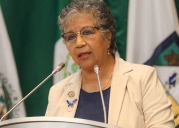 Plantean en Congreso mayores penas contra la violencia familiar