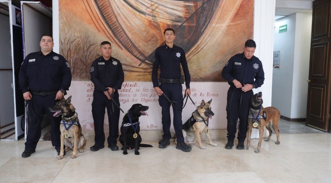 ¡Misión cumplida! Cuatro elementos K9 de la PESP Sonora se jubilan y reciben medalla