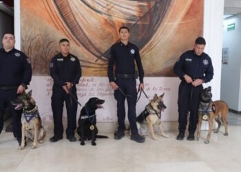 ¡Misión cumplida! Cuatro elementos K9 de la PESP Sonora se jubilan y reciben medalla
