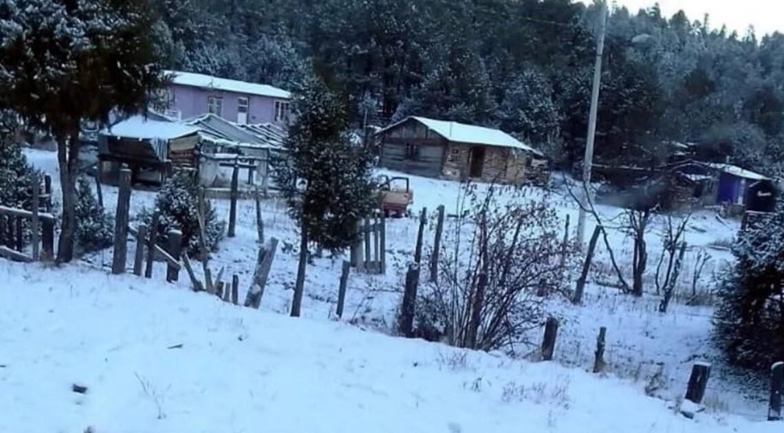 “Golpea” el frío en la Sierra de Sonora; baja a -2.5ºC en Yécora