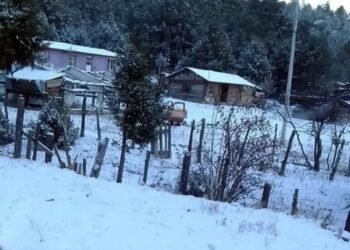 “Golpea” el frío en la Sierra de Sonora; baja a -2.5ºC en Yécora