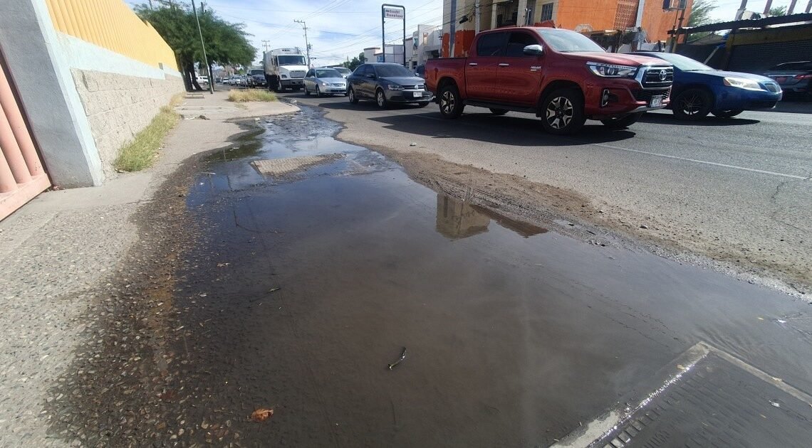 Vecinos de la colonia Luis Encinas piden auxilio por fuga de drenaje