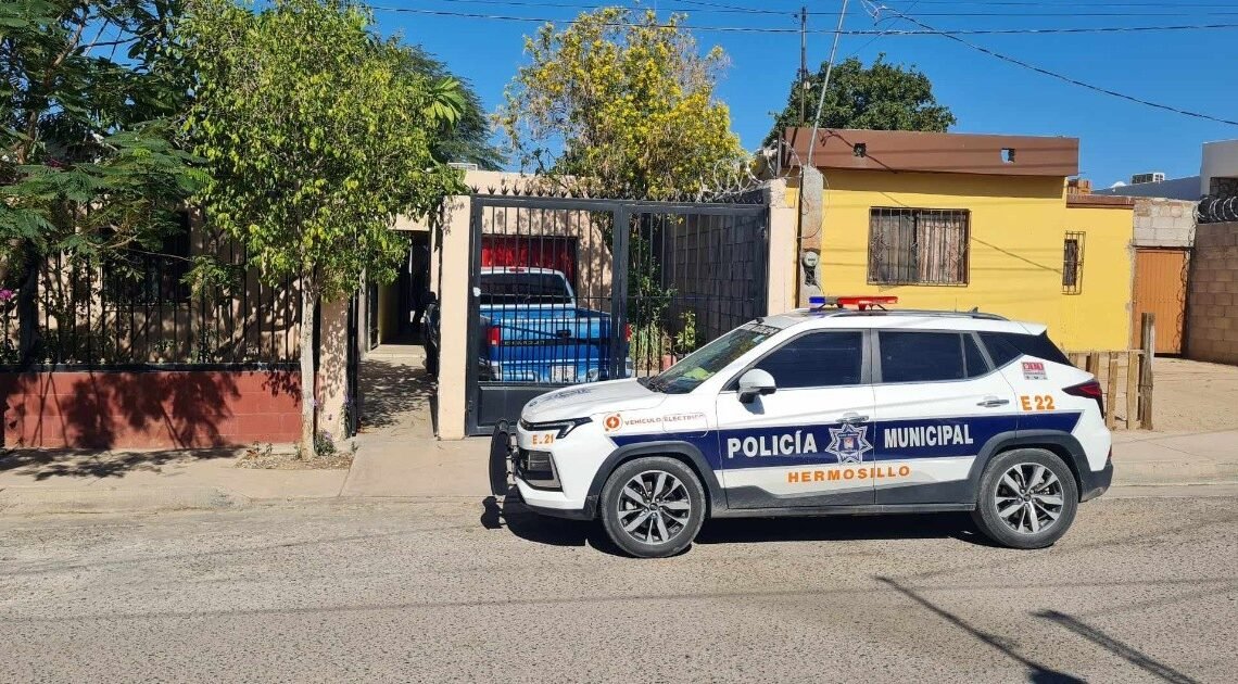 Hallan a una mujer sin vida colgada de un árbol en la colonia Heberto Castillo