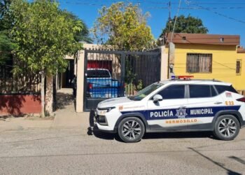 Hallan a una mujer sin vida colgada de un árbol en la colonia Heberto Castillo