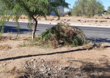 Más de 2 bolsas de basura fueron retiradas del Camellón Botánico del Desierto