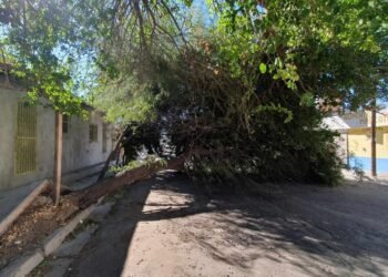 Fuertes vientos provocan varios daños esta mañana en Hermosillo: Bomberos