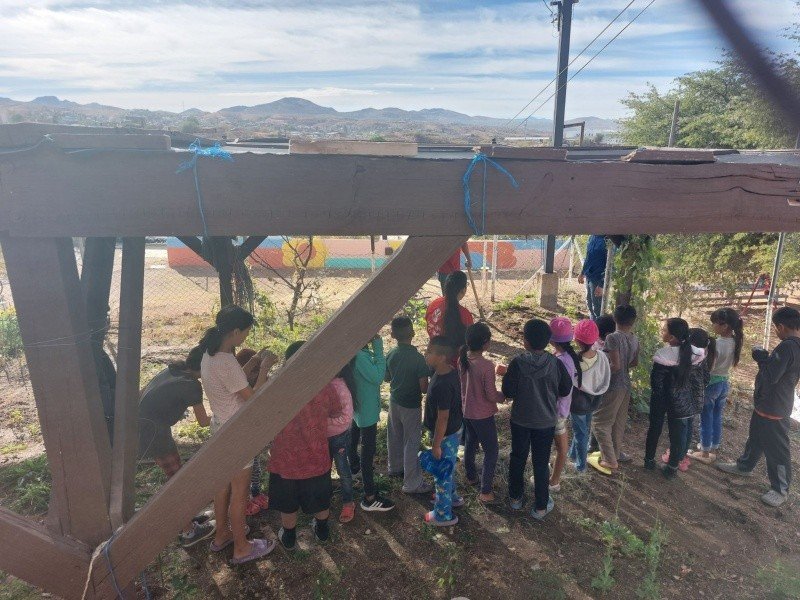 Niños migrantes, de diversas nacionalidades, que se encuentran en el albergue reciben instrucciones sobre los cultivos y gustosamente participan recolectando lo que en el huerto se produce. Niños migrantes, de diversas nacionalidades, que se encuentran en el albergue reciben instrucciones sobre los cultivos y gustosamente participan recolectando lo que en el huerto se produce.