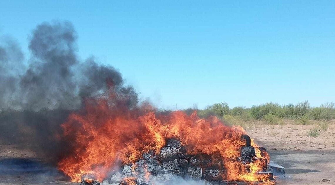 Incinera FGR más de una tonelada de diversos narcóticos en Hermosillo, Sonora