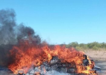 Incinera FGR más de una tonelada de diversos narcóticos en Hermosillo, Sonora
