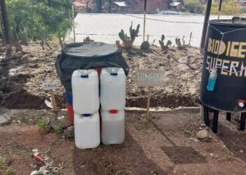 Rinde frutos lombricario y elaboración de composta en Casa de la Misericordia