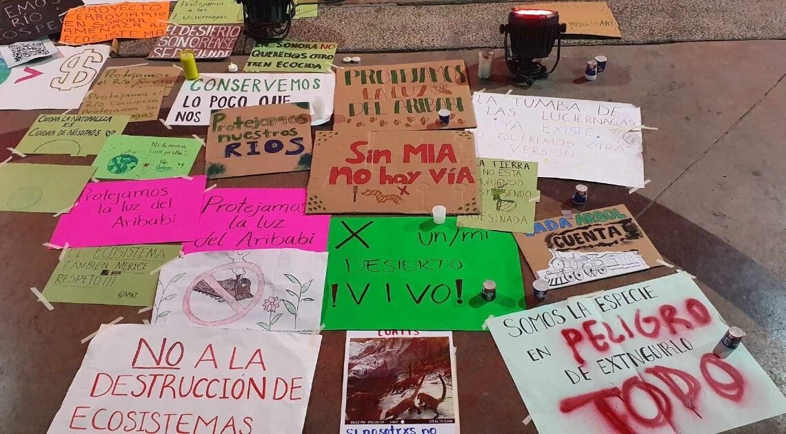 Marcha de las Luciérnagas en Hermosillo: Ciudadanos alzan la voz por la conservación del Río Cocóspera Marcha de las Luciérnagas en Hermosillo: Ciudadanos alzan la voz por la conservación del Río Cocóspera