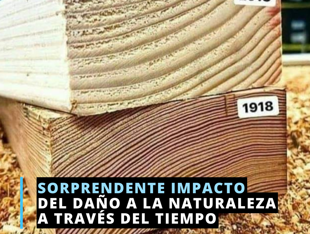 ¡Impresionante comparación!