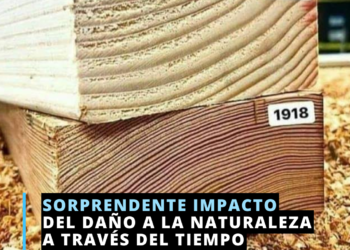 ¡Impresionante comparación!