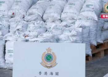 Droga Oculta en Conchas: Mayor Incautación de Hong Kong