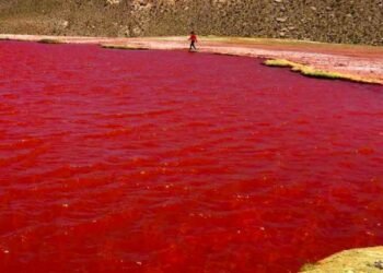 El Río Nilo se Tiñe de Rojo