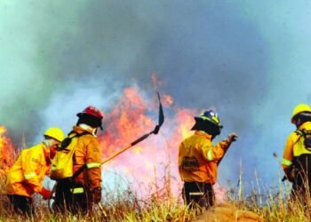 Bolivia paralizada: incendios forestales suspenden clases y vuelos