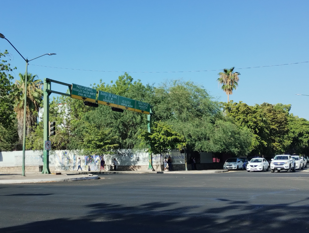 Los árboles de ‘la Prevo’ en Hermosillo