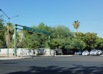 Los árboles de ‘la Prevo’ en Hermosillo