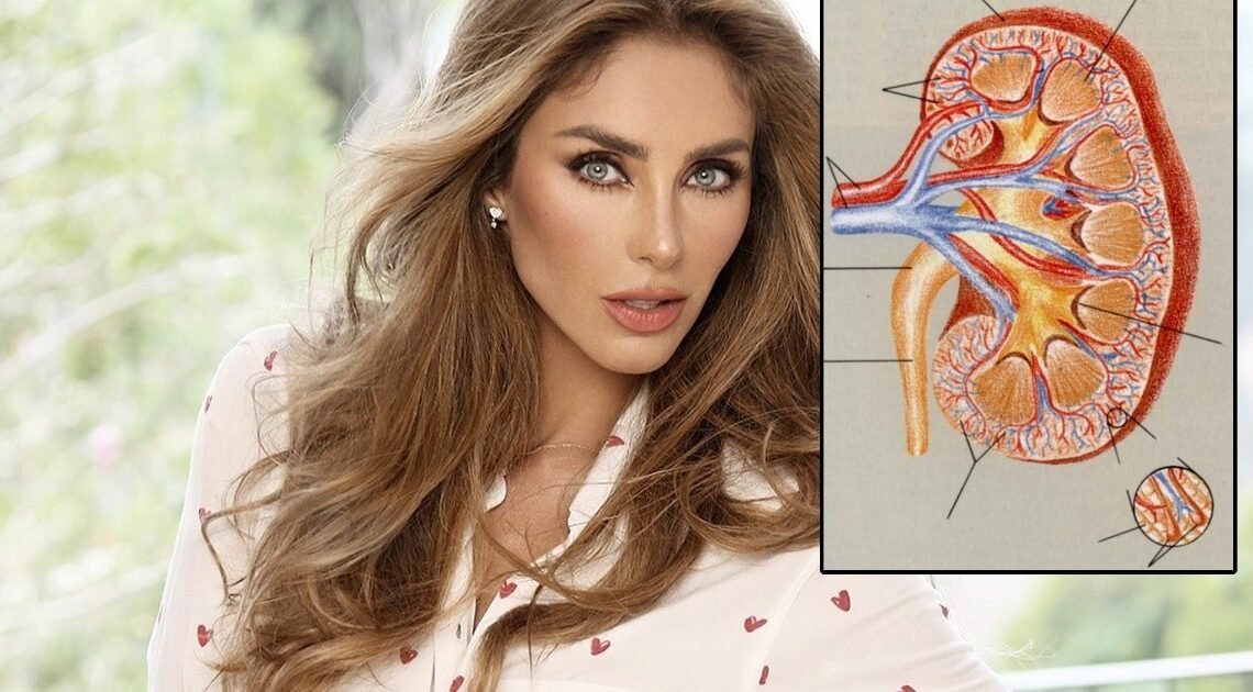 Anahí combate severa infección de riñón; sale en ambulancia del concierto de RBD Anahí combate severa infección de riñón; sale en ambulancia del concierto de RBD
