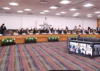 Avala Comisión Proyecto PEF 2024