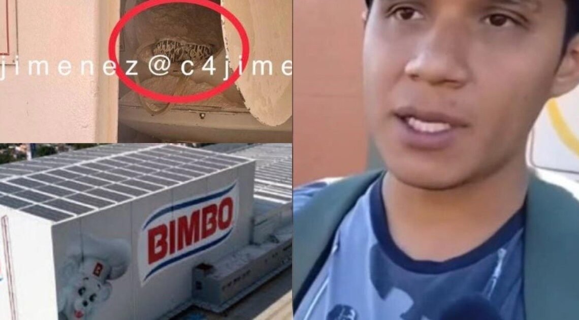 Bimbo: Familiar de hombre encontrado muerto en contenedor de harina arremete contra empresa de pan Bimbo: Familiar de hombre encontrado muerto en contenedor de harina arremete contra empresa de pan
