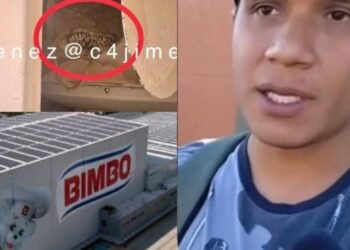 Bimbo: Familiar de hombre encontrado muerto en contenedor de harina arremete contra empresa de pan