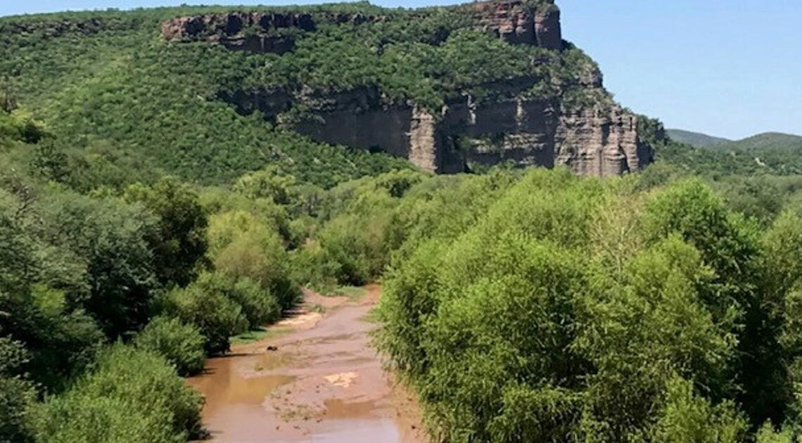 Afectados por derrame tóxico en río Sonora denuncian que autoridades no avanzan reparación