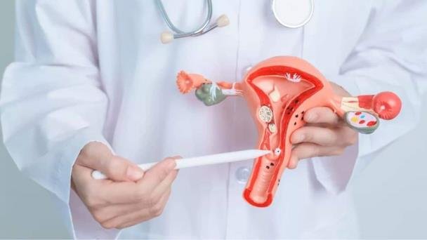 Detectan más casos de cáncer cervicouterino y de próstata en Sonora Detectan más casos de cáncer cervicouterino y de próstata en Sonora