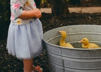 ¿Patos como mascota? Beneficiones y recomendaciones sobre este encantador animal doméstico
