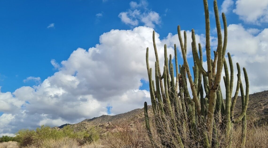 Clima en Sonora: Trae frente frío lluvias aisladas al Estado