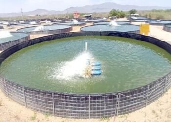 Conapesca promueve programa especial de energía eléctrica