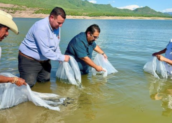 Destacan apoyos de Subsecretaría de Pesca y Acuacultura en El Novillo