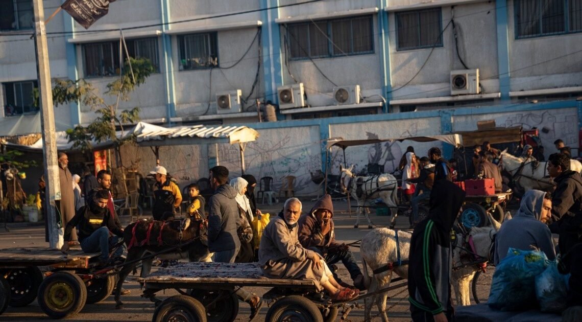 Franja de Gaza: ¿Por qué la ONU ha detenido la entrega de alimentos y suministros? Franja de Gaza: ¿Por qué la ONU ha detenido la entrega de alimentos y suministros?