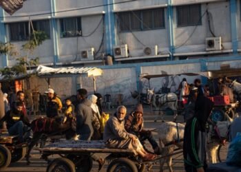 Franja de Gaza: ¿Por qué la ONU ha detenido la entrega de alimentos y suministros?