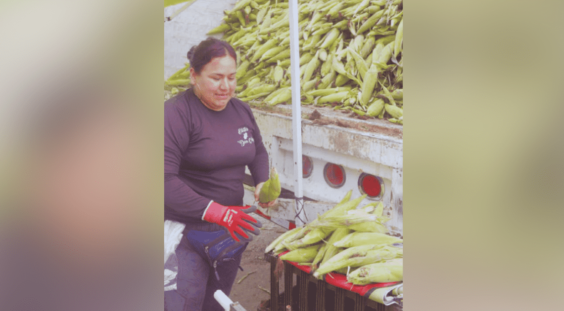 Vende trece toneladas de elote en tres días