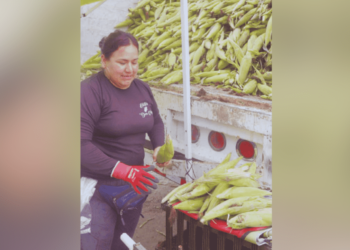 Vende trece toneladas de elote en tres días