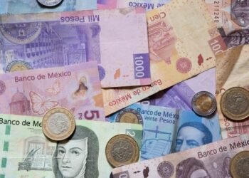 Salario mínimo en México: ¿Por qué razón es más alto en el Norte del País?