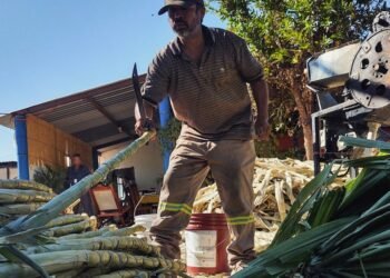 Los manjares más dulces de la cocina sonorense | Noticias de México