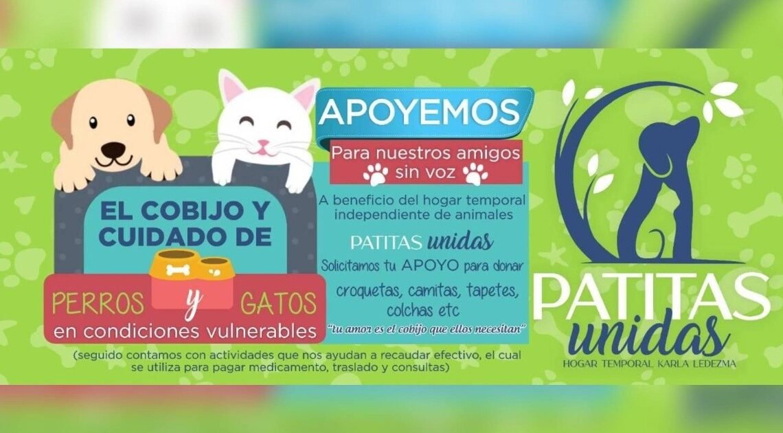 Realizarán colecta para ayudar a perros y gatos en la colonia Lomas de Madrid de Hermosillo