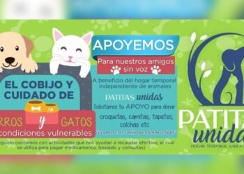 Realizarán colecta para ayudar a perros y gatos en la colonia Lomas de Madrid de Hermosillo