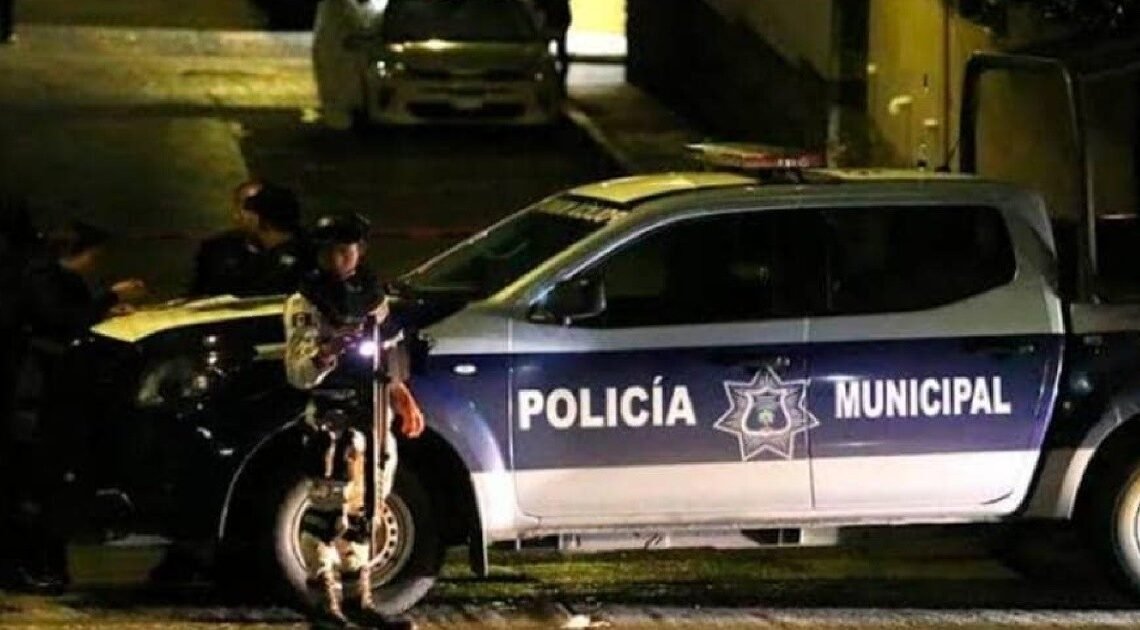 Matan a hermanos de 22 y 17 años dentro de su casa en Veracruz; un pariente suyo también fue asesinado en hechos separados Matan a hermanos de 22 y 17 años dentro de su casa en Veracruz; un pariente suyo también fue asesinado en hechos separados