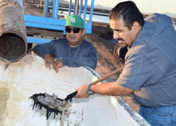 “Excelente 2023 en materia de acuacultura”: Raúl Sánchez Almeida