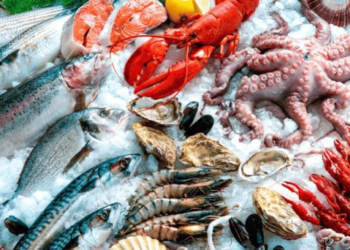 Realizarán Feria del Mar para promover productos marinos de Sonora