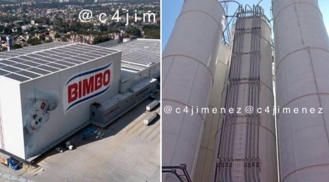 Trágico incidente en planta Bimbo: Trabajador pierde la vida en contenedor de harina