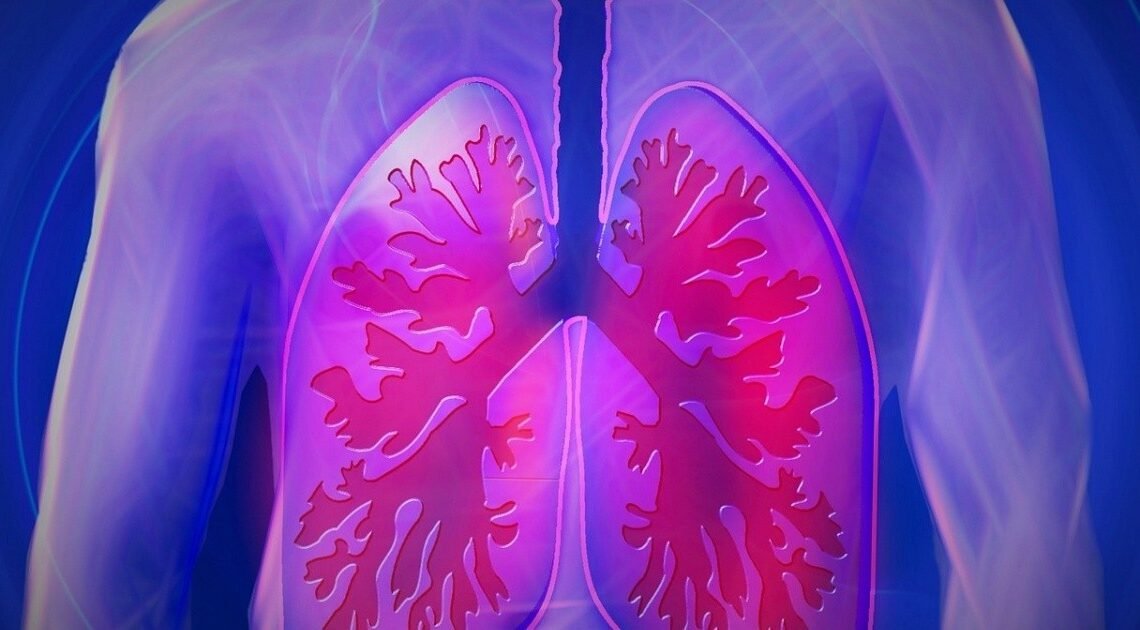 Más adultos deberían realizarse la prueba de cáncer de pulmón, según ACS