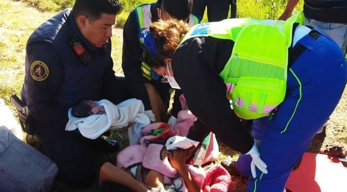 Así fue el peculiar nacimiento en canales de Xochimilco; policías ayudaron a mujer en labores de parto Así fue el peculiar nacimiento en canales de Xochimilco; policías ayudaron a mujer en labores de parto