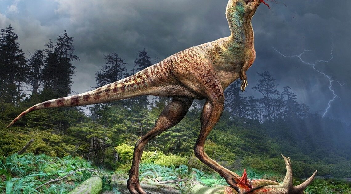 Gorgosaurus: Fósiles muestran crías de dinosaurio desmembradas en el vientre de un pariente del T. Rex Gorgosaurus: Fósiles muestran crías de dinosaurio desmembradas en el vientre de un pariente del T. Rex