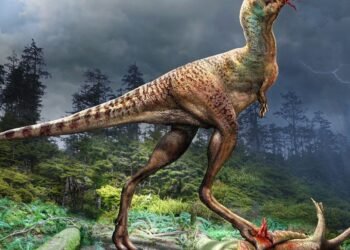 Gorgosaurus: Fósiles muestran crías de dinosaurio desmembradas en el vientre de un pariente del T. Rex